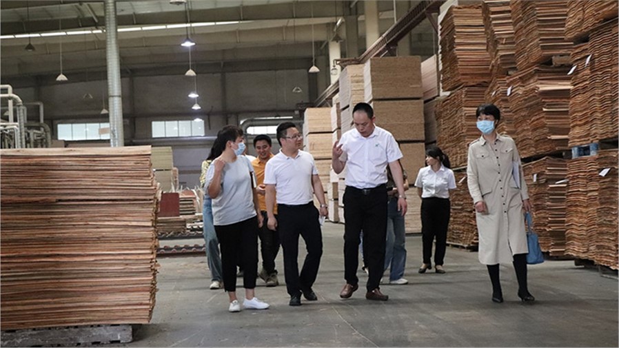 懷化市科技局等一行人，蒞臨喬偉家居生態(tài)板工廠評(píng)審湖南省創(chuàng)新創(chuàng)業(yè)大賽